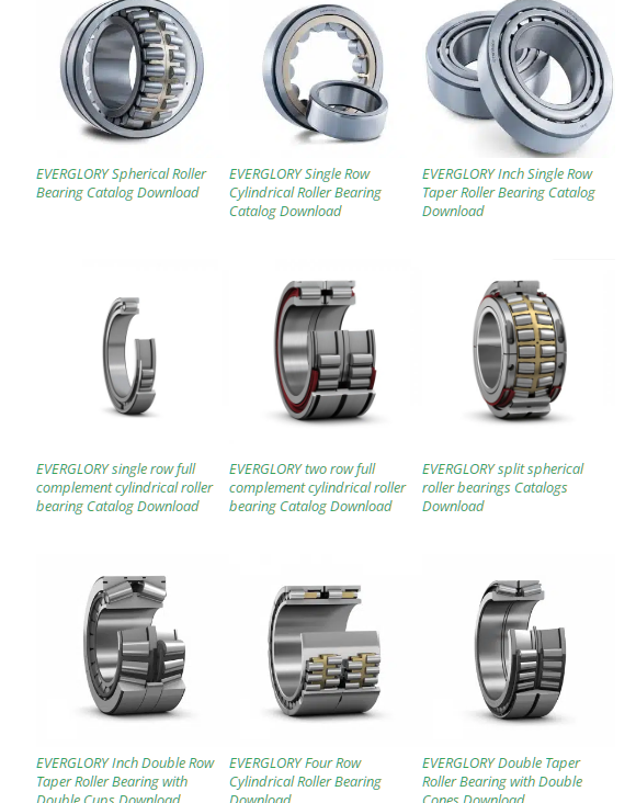 Bearings Catalogs Download from EVERGLORY